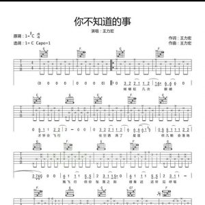 你不知道的事，简单吉他谱，适合新手