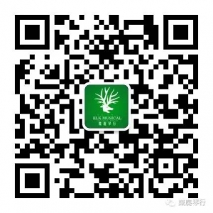 《没那么简单》——吉他弹唱