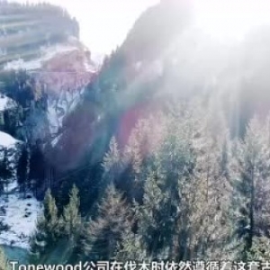 走进阿尔卑斯山，一起探寻吉他好声音的源头