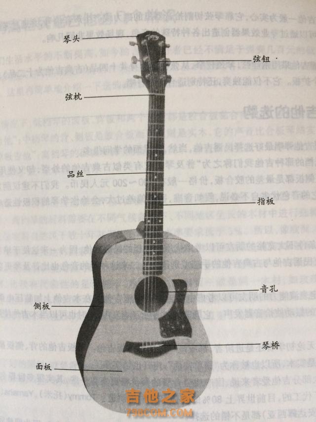 吉他微课堂1.认识吉他