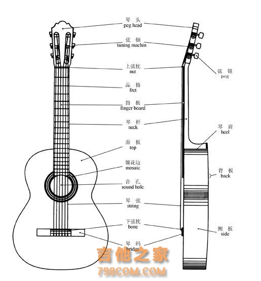 新手吉他入门教学（二）区分吉他