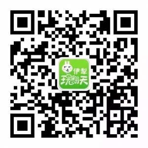新疆维吾尔大叔吉他弹奏《吉尔拉》,手法骚爆了!这才艺不上春晚太可惜了! ...