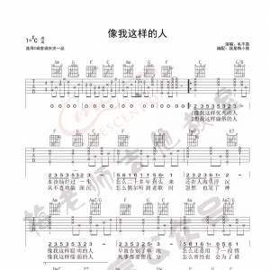 《像我这样的人》弹唱教学视频!梅老师主讲!