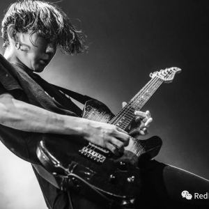 「dragonfly」蜻蜓品牌 手工吉他全系列详解!