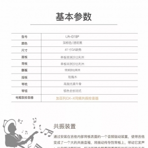 黑科技!国内品牌首款同频共振吉他——加百列LR-G1SP面背单民谣吉他 ... ... ...
