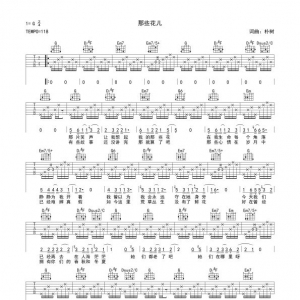 吉他谱_《那些花儿》