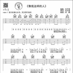 像我这样的人，简单吉他谱，适合新手