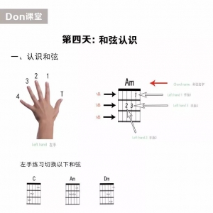 【DON自制】8天学吉他,初学入门吉他篇 第四天《和弦切换技巧》 ... ...