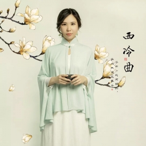 吉他翻弹电视剧《红楼梦》插曲《葬花吟》,谁与争锋?! ...