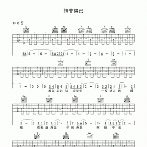 庾澄庆《情非得已吉他谱》吉他谱|网友约谱