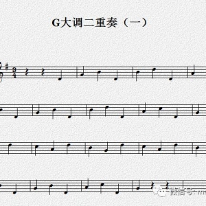 吉他|基础练习|G大调|Op.168 二重奏