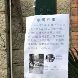 【紧急扩散】泉州万达“网红”金色吉他失踪,全城悬赏寻找! ... ...