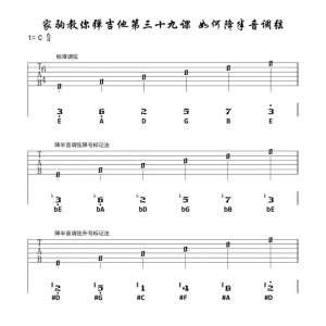 家驹教你弹吉他第三十九课 如何降半音调弦