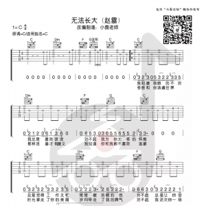 【吉他谱】赵雷《无法长大》小磊吉他出品