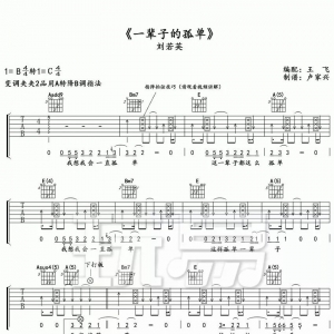【吉他谱】刘若英《一辈子的孤单吉他谱》