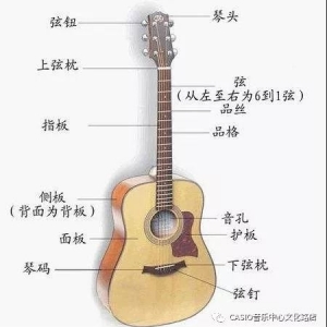 零基础教学——吉他教程