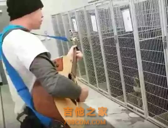 收容所工作人员为狗狗们弹吉他唱歌，没想到全场安静！