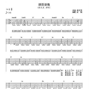 谢天笑《请原谅我》吉他谱
