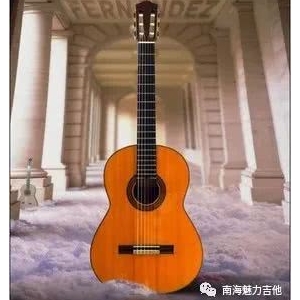 佛山市南海区音乐家协会吉他分会正式成立