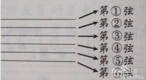 学吉他，但是你学会吉他的六线谱了吗