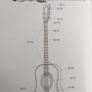 想学吉他的请进零基础学吉他