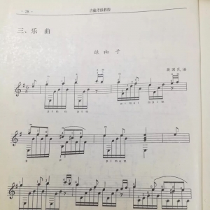 吉他独奏《绿袖子》——1