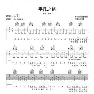 朴树《平凡之路》平凡之路吉他谱 |网友约谱
