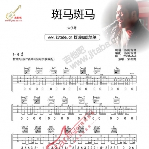宋冬野 《斑马斑马》斑马斑马吉他谱