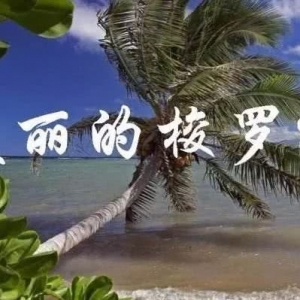 《美丽的梭罗河》吉他弹唱