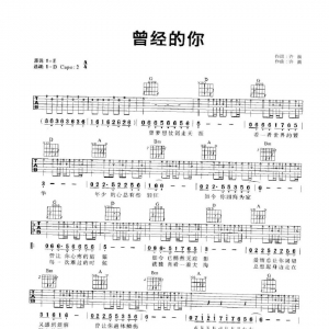 许巍《曾经的你》曾经的你吉他谱 网友约谱
