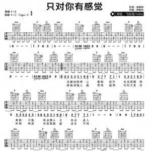 飞海伦乐队《只对你有感觉 》只对你有感觉吉他谱 |网友约谱 ...