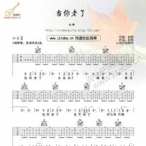 赵照《当你老了》当你老了吉他谱 简单版弹唱谱
