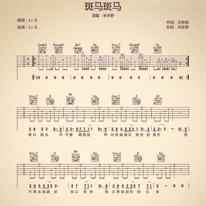 宋冬《 斑马斑马》野 斑马斑马吉他谱