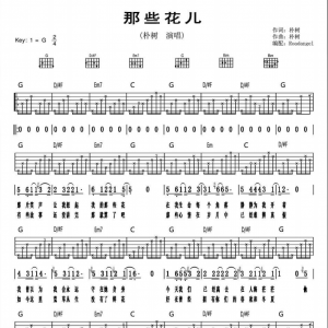 朴树《那些花儿》那些花儿吉他谱