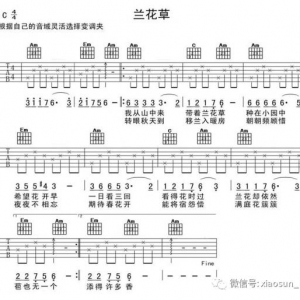 学习歌曲弹唱《兰花草》和《青春舞曲》