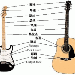 吉他结构、种类，如何选购一把好琴及吉他的保养