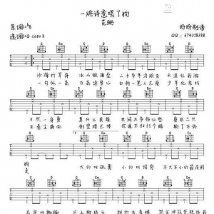 花粥《一腔诗意喂了狗》一腔诗意喂了狗吉他谱 弹唱视频