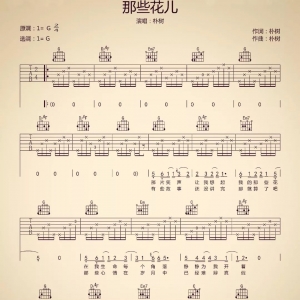 朴树《那些花儿》那些花儿G调吉他谱