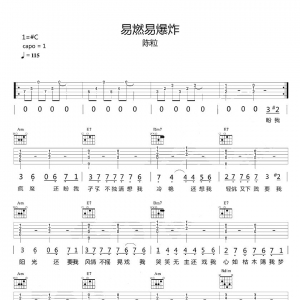 陈粒《易燃易爆炸》易燃易爆炸吉他谱 |网友约谱