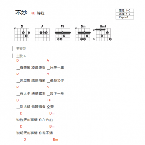 陈粒《不妙》不妙D调吉他谱 吉他和弦弹唱谱