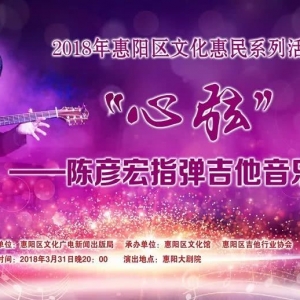 我区举行“心弦”陈彦宏指弹吉他音乐会