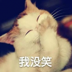 气势上不能输,就算1美元的吉他也要弹出100美元的感觉! ...