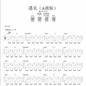 《遇见》遇见伴奏吉他谱