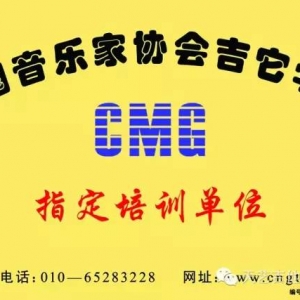 巢湖天艺吉他艺术教育教学成果展2