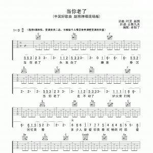 赵照《当你老了》当你老了吉他谱