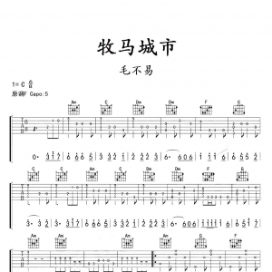 毛不易《牧马城市》牧马城市吉他新谱|网友约谱