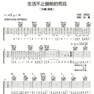 许巍《生活不止眼前的苟且》生活不止眼前的苟且吉他谱|网友约谱 ...