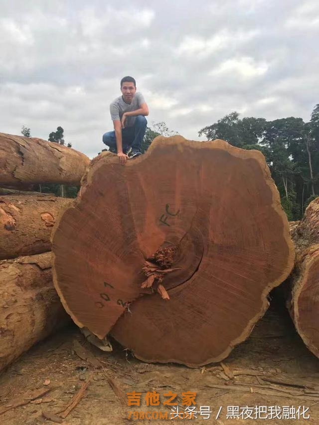 一开始，我也想像李宗盛一样，好好的做一把吉他。