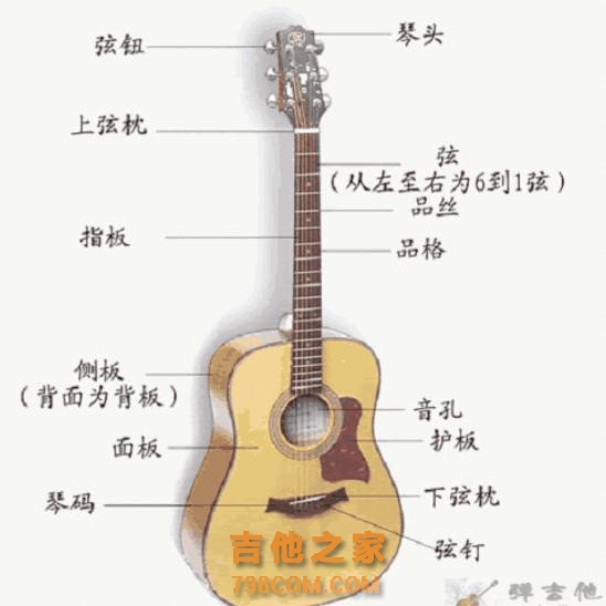 0基础新手入门自学吉他，很简单、看完就会