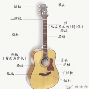0基础新手入门自学吉他，很简单、看完就会